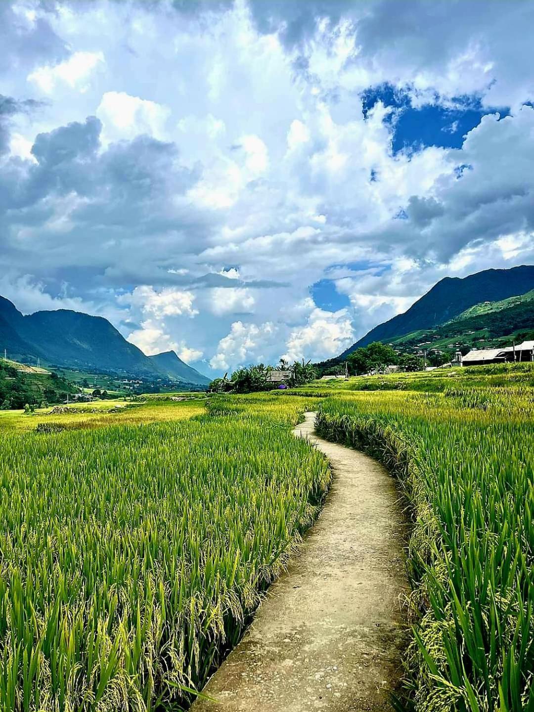 Tavan Dragon House Lao Cai Exterior photo