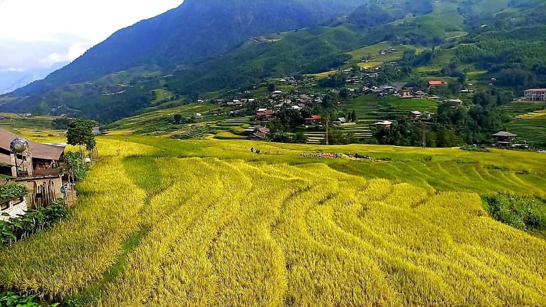 Tavan Dragon House Lao Cai Exterior photo